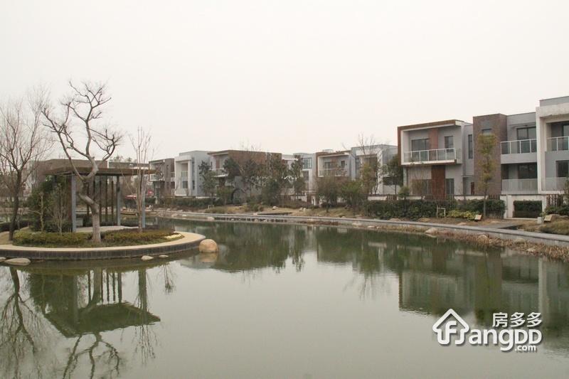 岚山别墅图片
