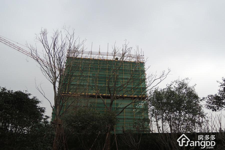 招商依云郡小区图片