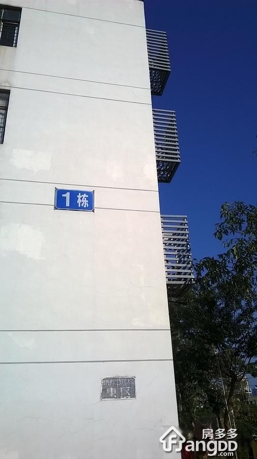 29号大院图片