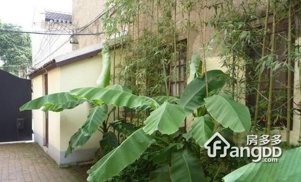 乌鲁木齐中路162弄小区图片