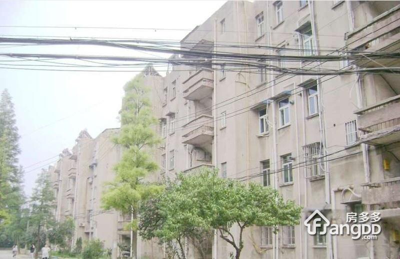 杨庄南村小区图片