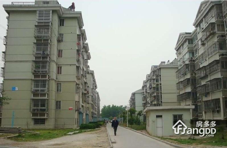 晓山北村图片