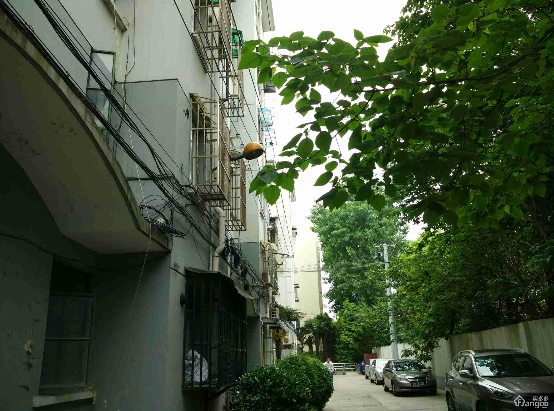 景凤路280弄小区图片
