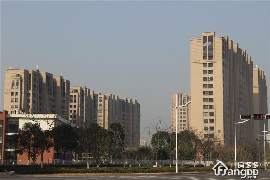 水岸年华图片