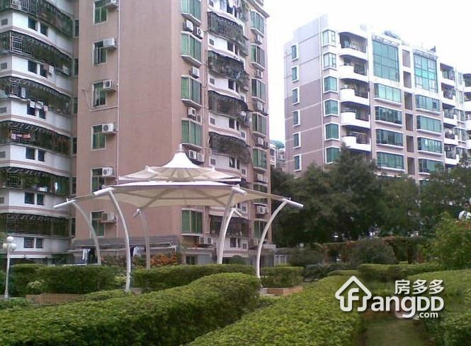 新港鸿花园图片