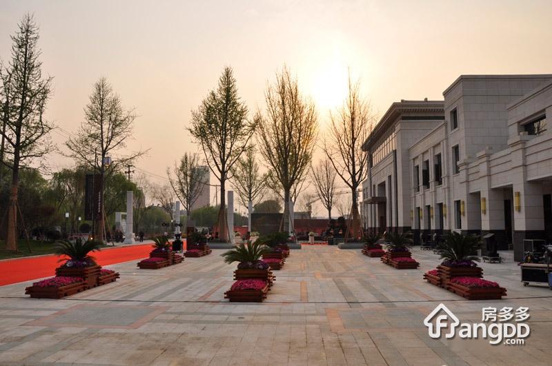 金科王府(别墅)图片