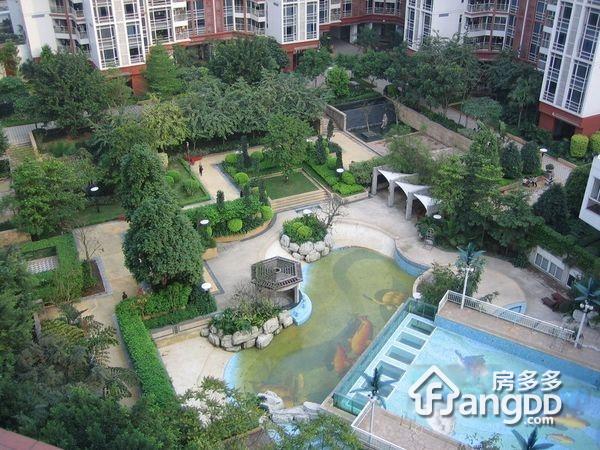 时代玫瑰园小区图片