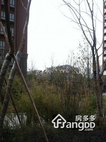 中海国际社区一区图片