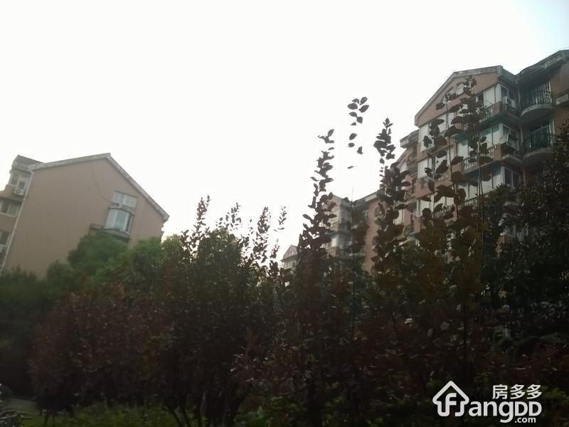 宁和新寓小区图片