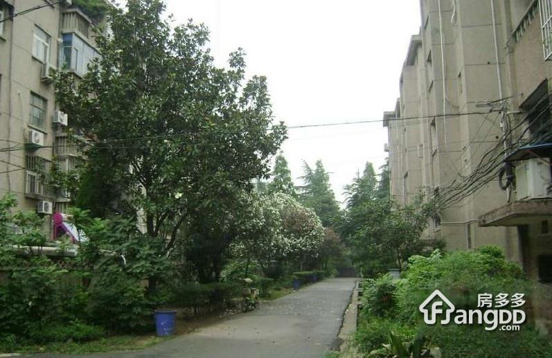 杨庄新村小区图片