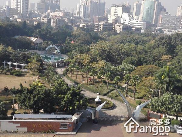 星海国际小区图片