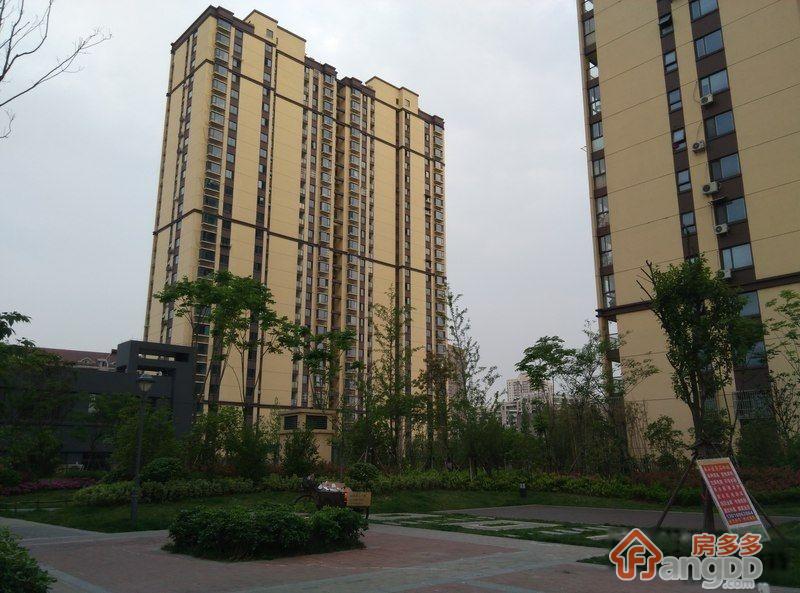 金阜雅苑小区图片