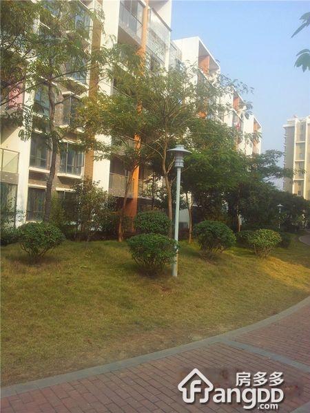 宜家国际公寓小区图片