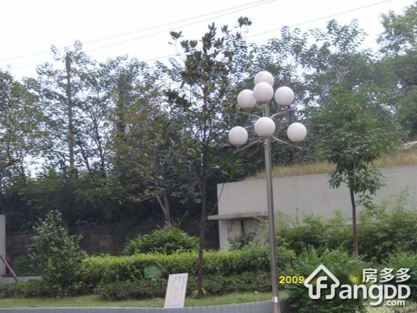 御景龙庭小区图片