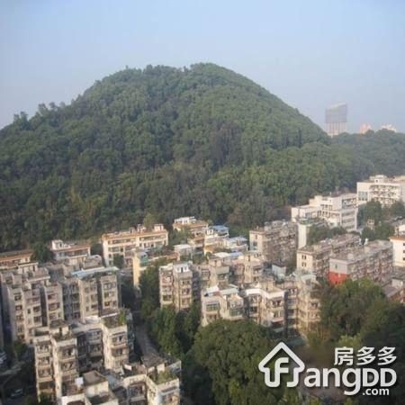 翠竹苑图片