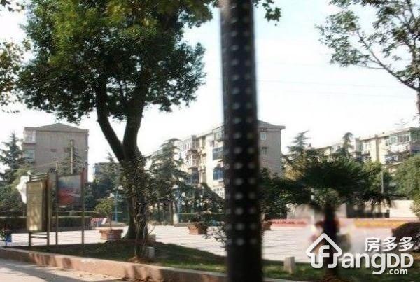 新华二村小区图片