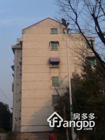 油车小区图片