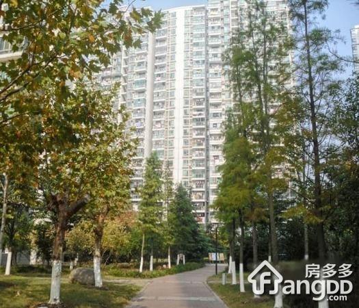 第五元素图片