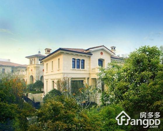 九龙仓国宾1号图片