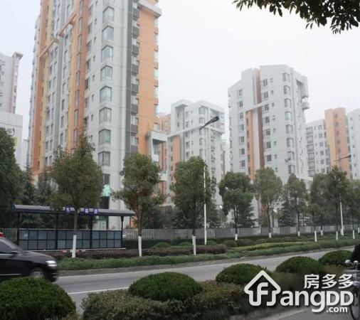 东湖林语图片