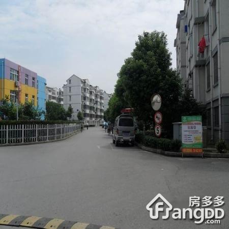 金山浜花园图片