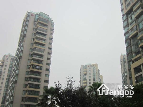 枫情水岸图片