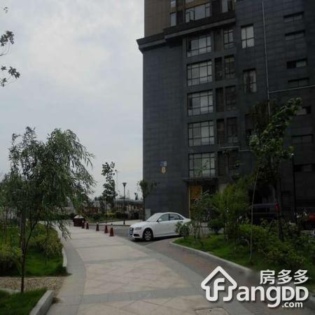 欧洲城铂金时代图片