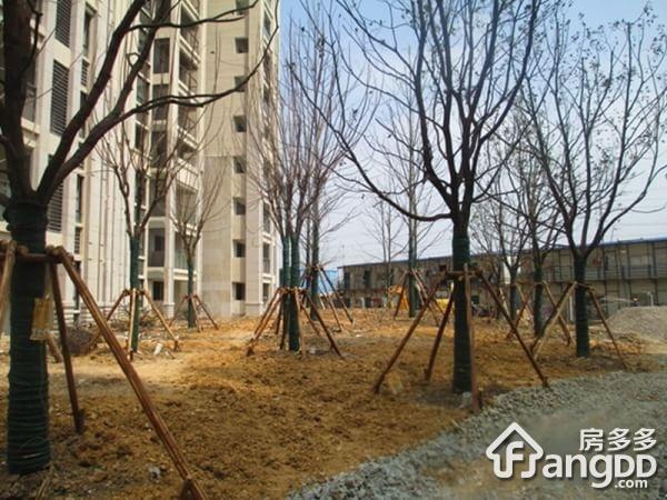 融侨世家小区图片