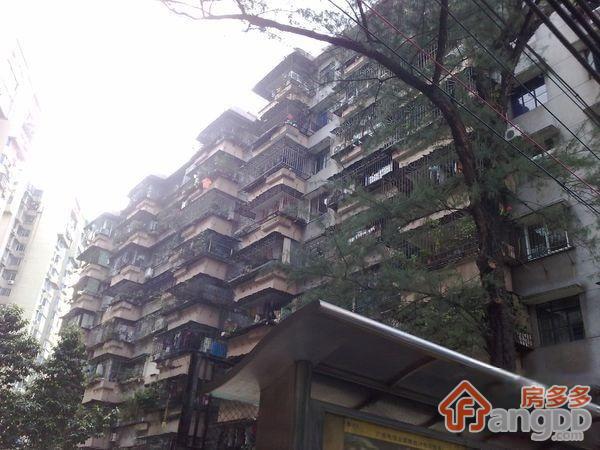 江南大道中图片