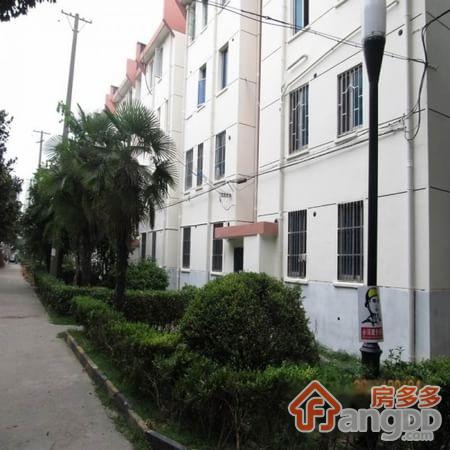 枫津新村小区图片