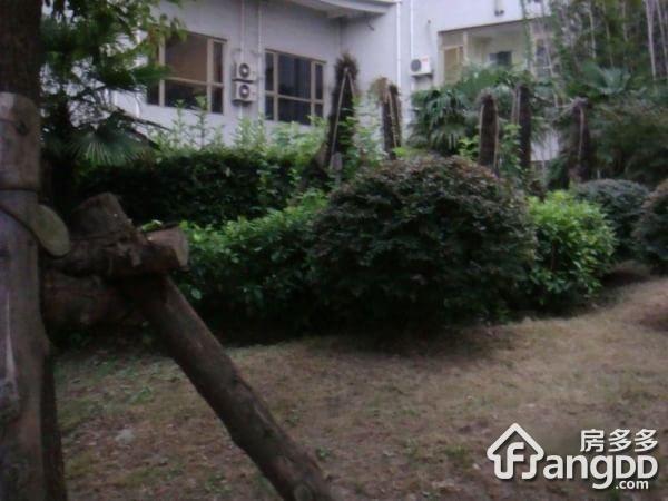 阳光名苑一期小区图片
