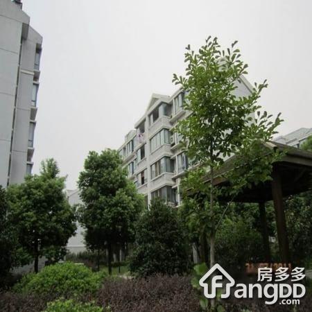 越湖花园图片