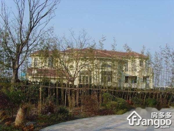 聆湖丽墅图片
