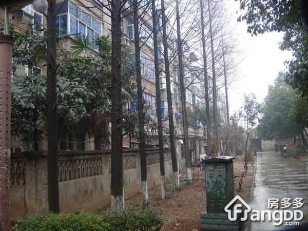 尧石二村小区图片