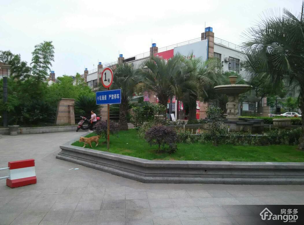 文翔名苑(公寓)图片