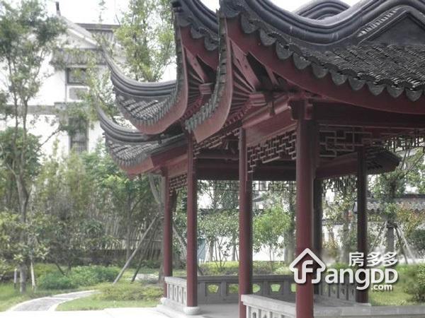 姑苏桃花源图片