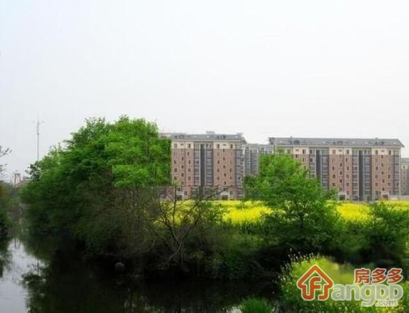 星运丽园图片