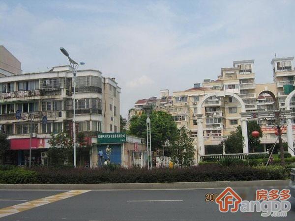 金厦公寓图片