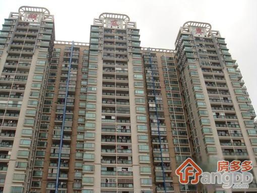 洪湖东岸图片