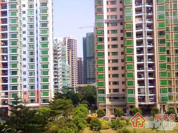 黄埔花园小区图片