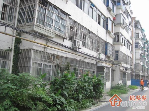 花园南村小区图片