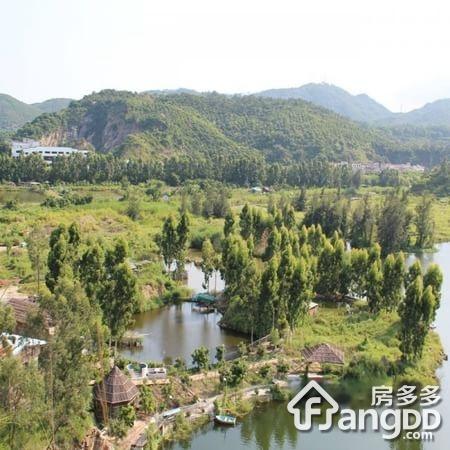 碧桂园天玺湾图片