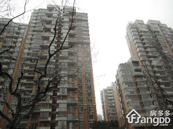 桃源兴城苑图片