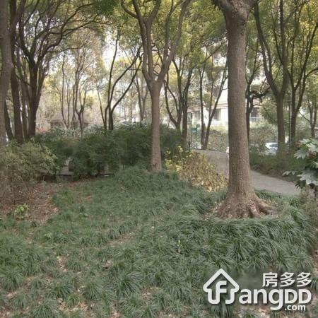 达安花园图片