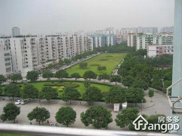 棠德花园小区图片