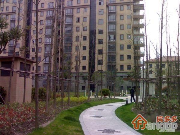金领国际(公寓)小区图片