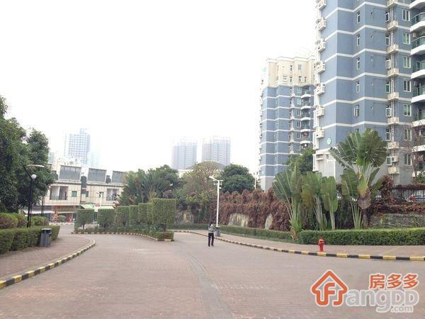 新亚洲花园图片