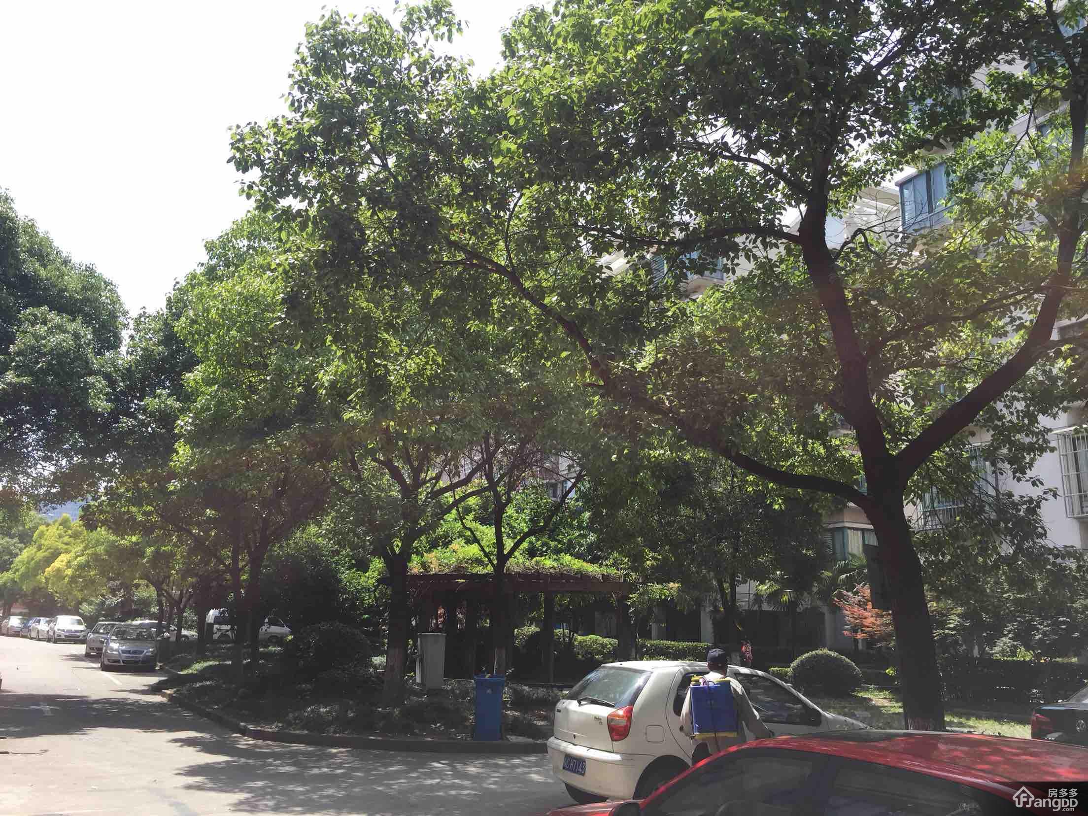 岭南翠庭小区图片