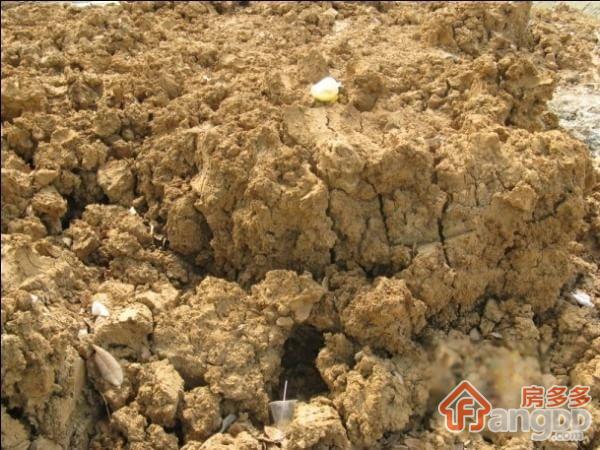 墨林雅苑小区图片