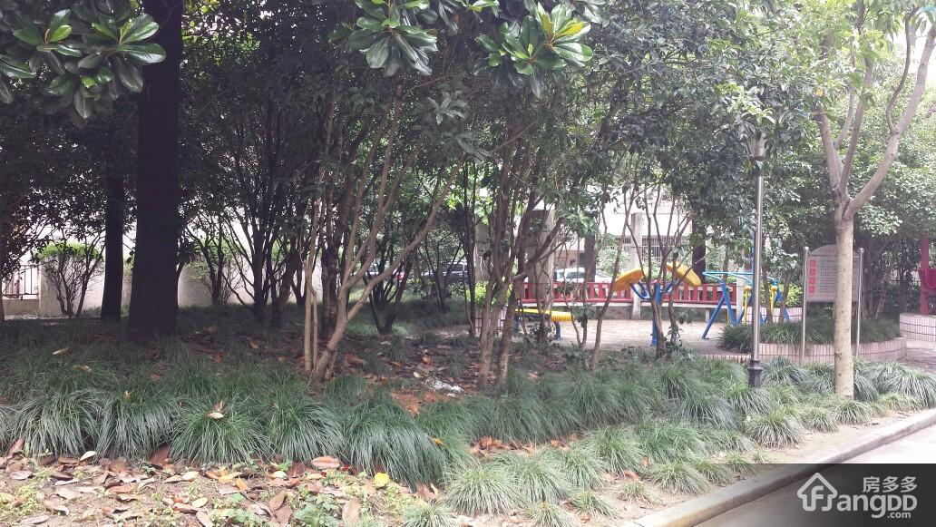 花溪园小区图片